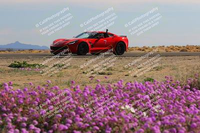 media/Jan-08-2023-SCCA SD (Sun) [[8f6a5b9391]]/Intermediate Group/Session 2 (Short Straight)/